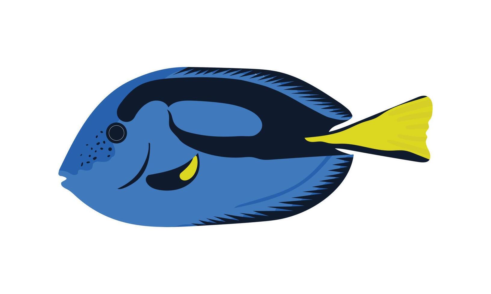 Palettenchirurg, blauer Fisch mit dem gelben Schwanz. Korallenfisch-Illustrationssammlung. die Handzeichnung von unter dem Meeresleben. handgezeichnete Vektoranimation. entzückende und schöne Fische des Meereslebens. vektor