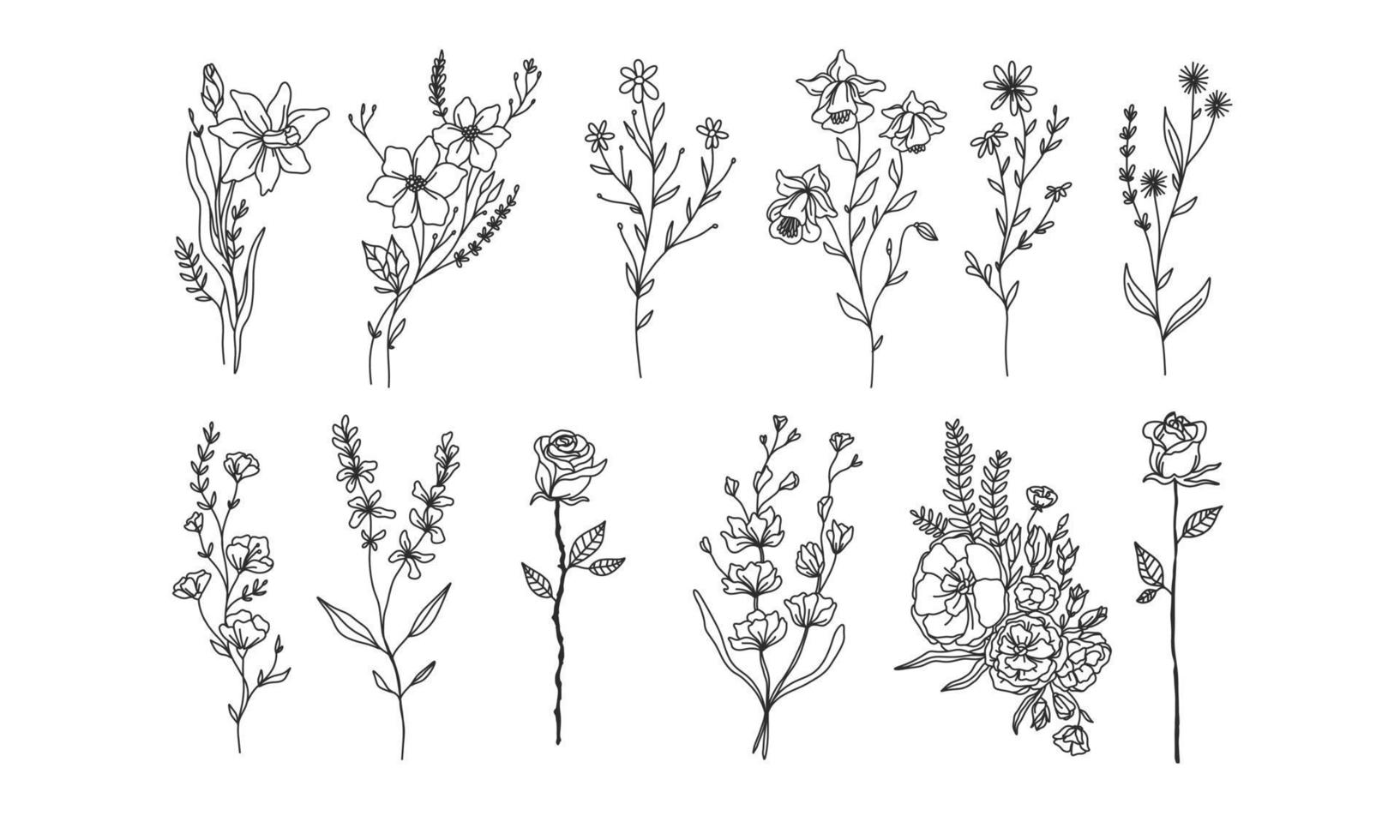 uppsättning handritade blomelement för din design, löv och blommor illustration för att skapa romantisk eller vintage design, växt isolerad grafik mycket enkelt lägga till ditt designprojekt vektor