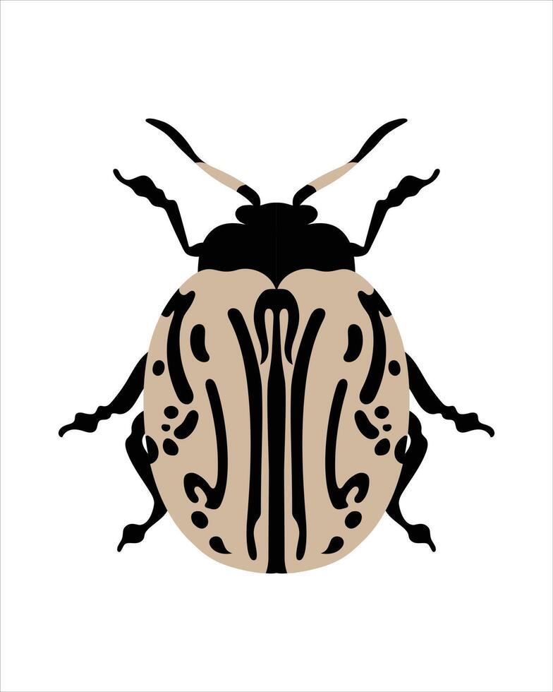 calligrapha multipunctata. platt vektorillustration av buggar. insekter och trädgård koncept animerade i färgglada tema. tecknad illustration av naturen isolerad på vit bakgrund. vektor