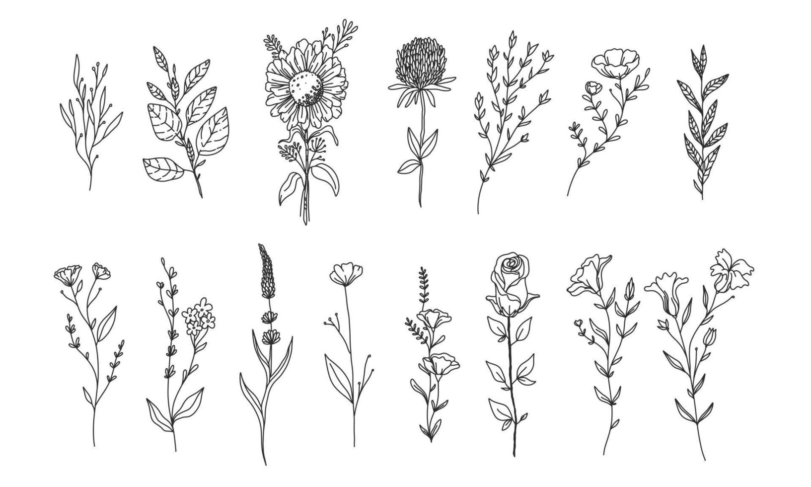 Set von handgezeichneten floralen Elementen für Ihr Design, Blatt- und Blumenillustration, um romantisches oder Vintage-Design zu erstellen, pflanzenisolierte Grafik sehr einfach zu Ihrem Designprojekt hinzuzufügen vektor