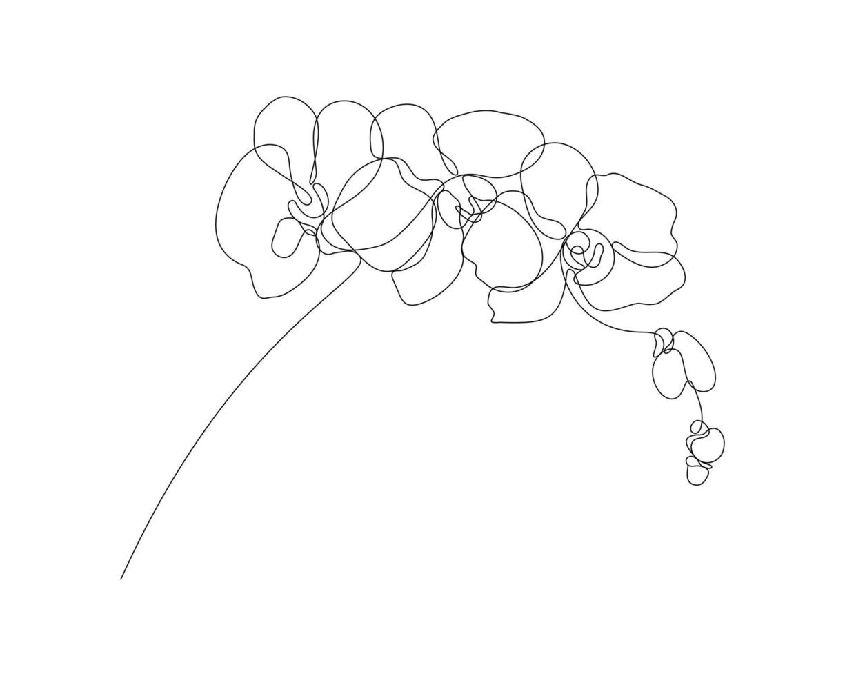 Orchideenblütenillustration in einem einzeiligen Kunststil. Kontinuierliches Zeichnen im Vektor, das am besten für Symbole, Wandkunstdrucke, Poster, Zeitschriften, Postkarten usw. verwendet wird. vektor