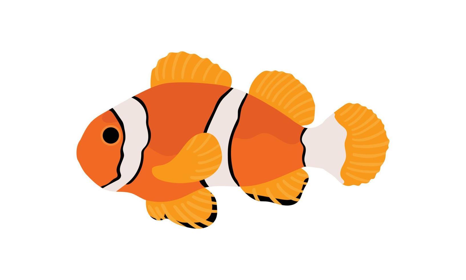 orange clown fisk. samling uppsättning av korall fisk illustration. handteckningen av livet under havet. handritad vektoranimation. bedårande och vackra fiskar av marint liv. vektor