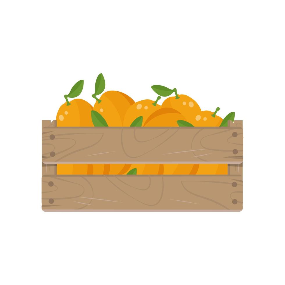Holzkiste mit orangefarbenen Früchten, isoliert auf weißem Hintergrund. Vektor-Illustration. vektor