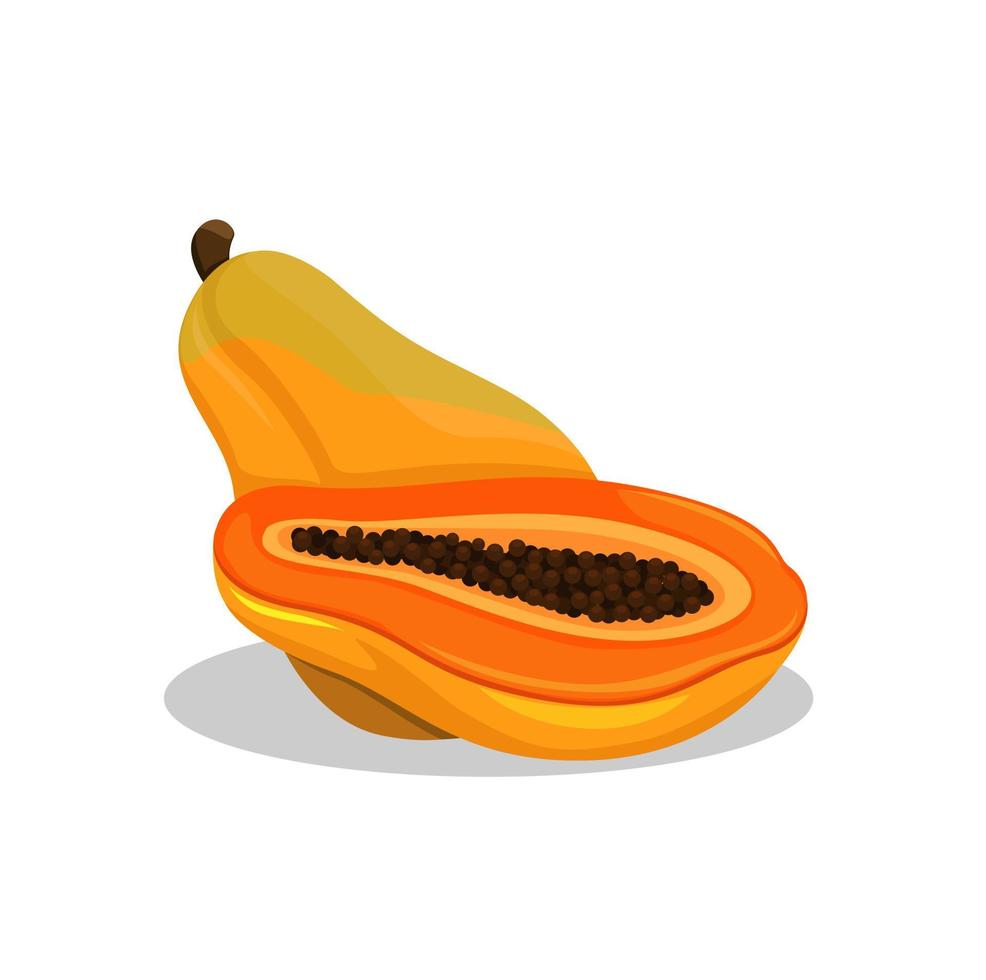 Papaya-Frucht. tropischer frischer Fruchtsymbolillustrationsvektor vektor