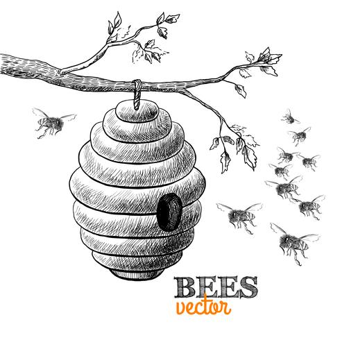 Honigbienen und Bienenstock auf Baumast vektor