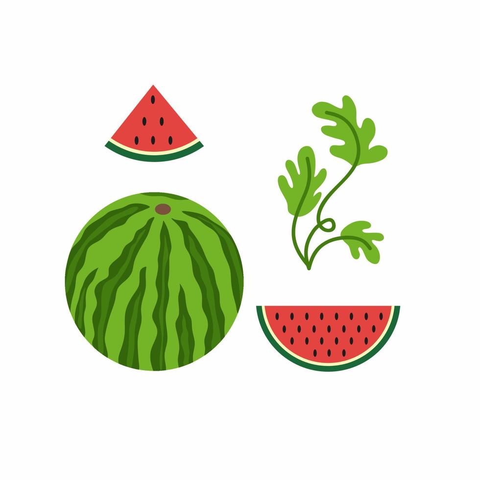 nationella vattenmelondagen den 3 augusti i USA. ställ rund mogen vattenmelon, skiva vattenmelon, vattenmelon blad. vektor platt stiliserad tecknad illustration. vattenmelon och frukt festival.