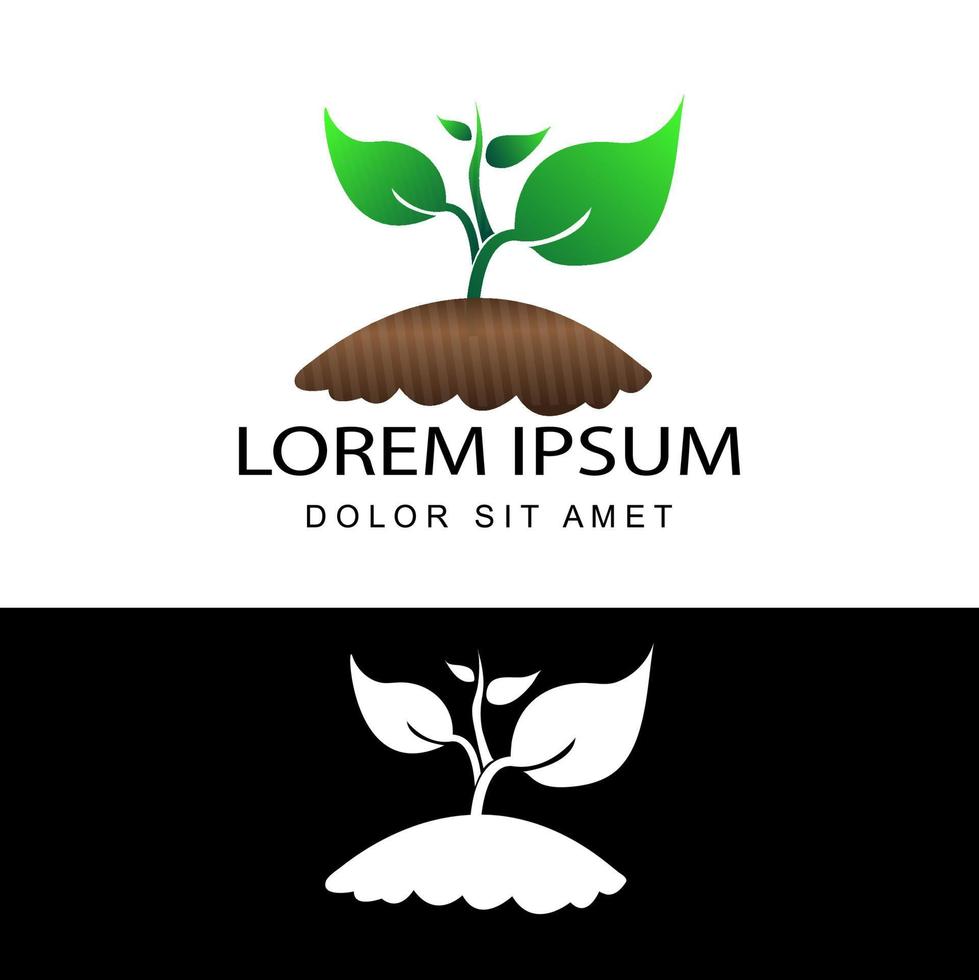 Pflanzen-Öko-Garten, der Logo-Vorlagen-Design-Vektor in isoliertem Hintergrund aufwächst vektor