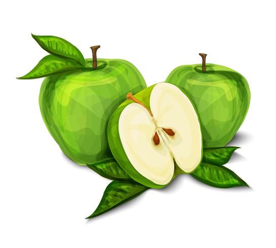 Grön naturlig organisk äppelfrukt vektor