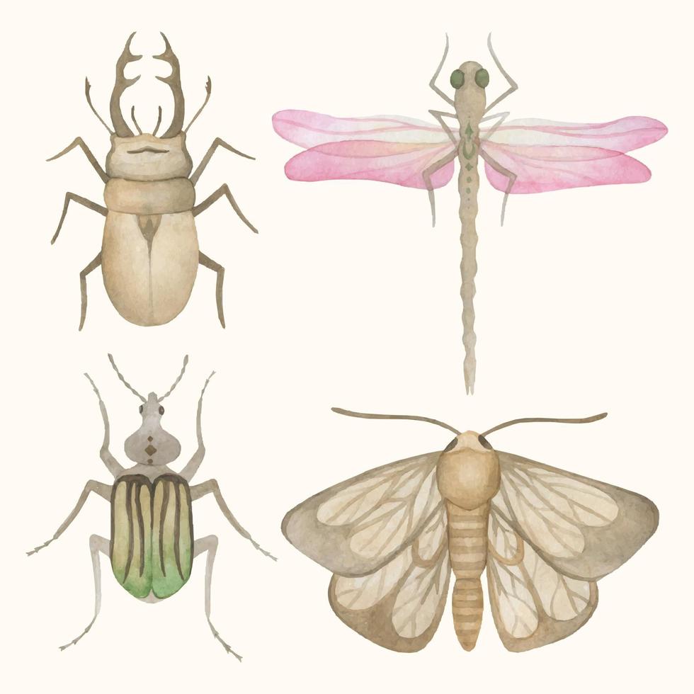 akvarell uppsättning av fyra insekter vektor
