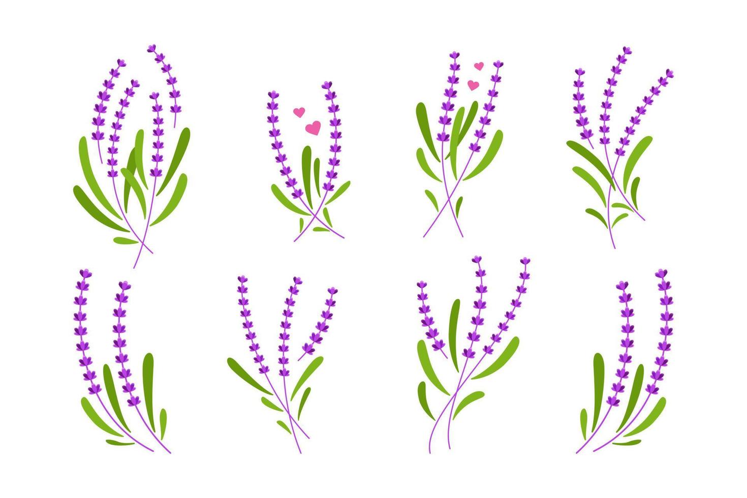 Lavendelpflanze Hand gezeichneter Illustrationssatz vektor