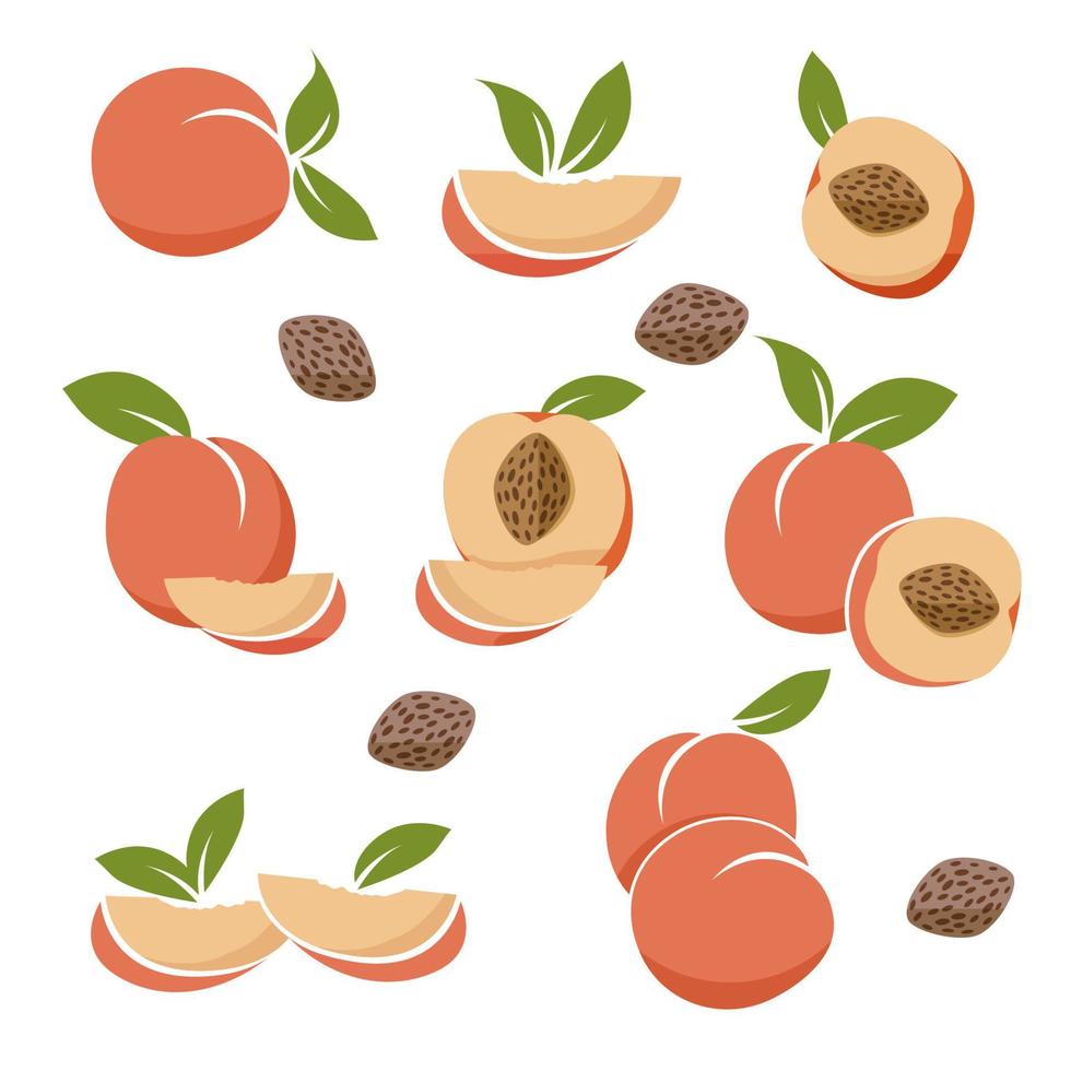 Pfirsiche mit Blättern, Pfirsichsamen, Fruchtemblem vektor