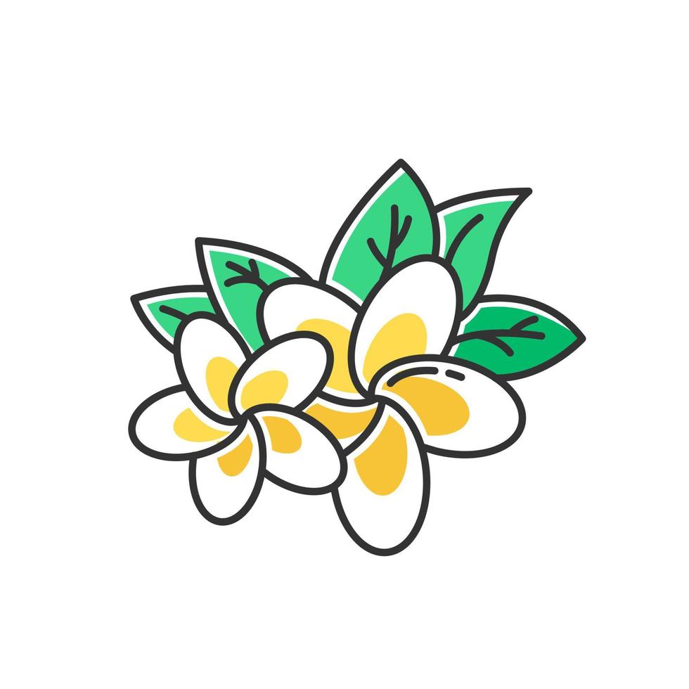 plumeria gul färgikon. exotisk region blommor. flora av indonesiska skogar. små tropiska växter. blomma av frangipani med blad. balis natur. isolerade vektor illustration