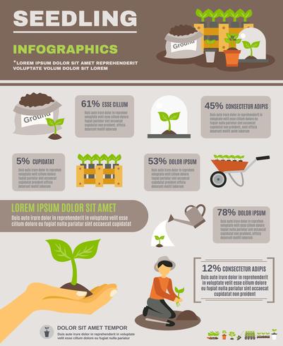 Sämling Infografiken Set vektor