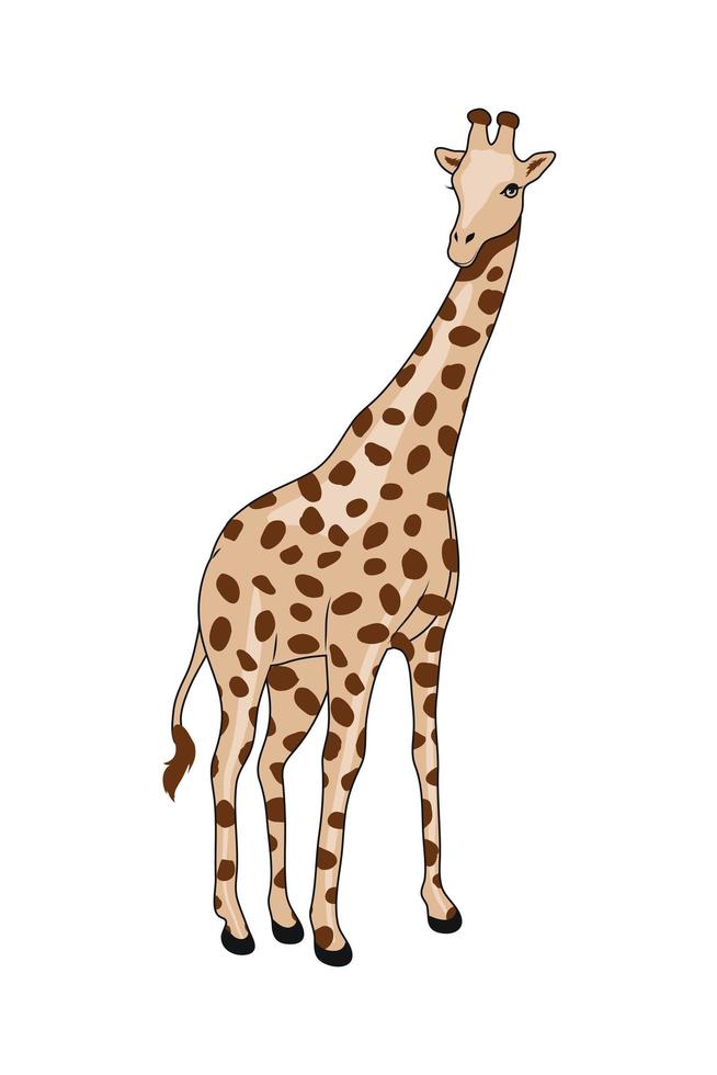 wilde afrikanische Giraffe vektor