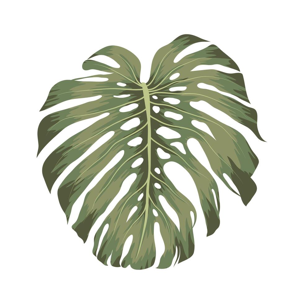 schönes Monstera-Symbol vektor