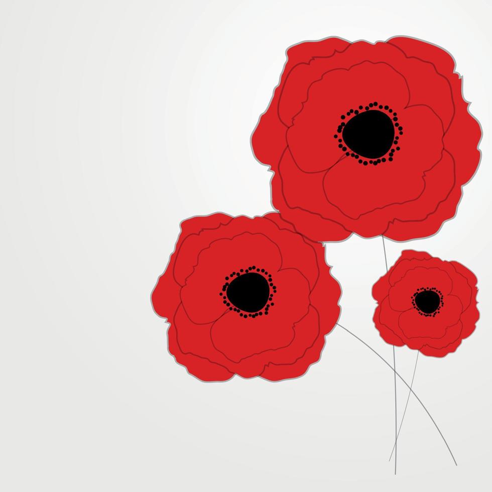 rote Mohnblumen-Blumen-Hintergrund-Vektor-Illustration vektor