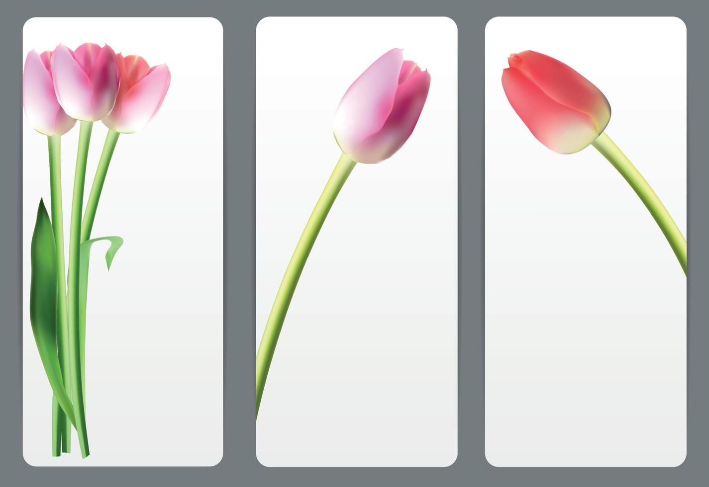 vackra blommiga kort med realistisk tulpan vektorillustration vektor