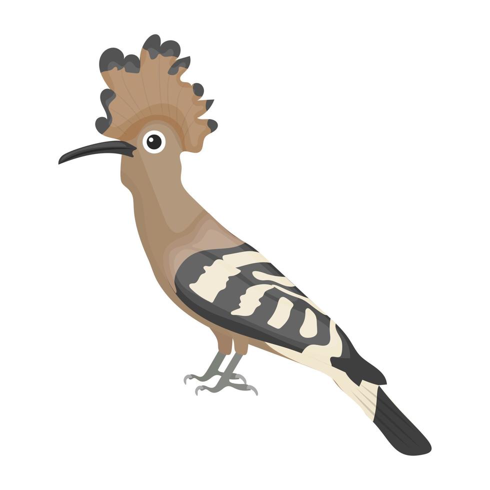 hoopoe fågel koncept vektor