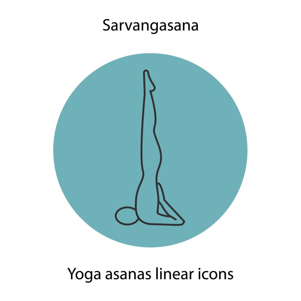 sarvangasana yoga position linjär ikon. tunn linje illustration. yoga asana kontursymbol. vektor isolerade konturritning