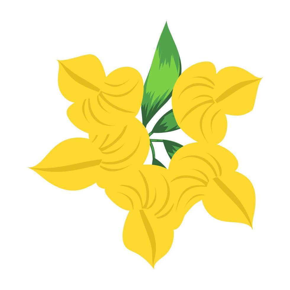 amaryllis blomma koncept vektor