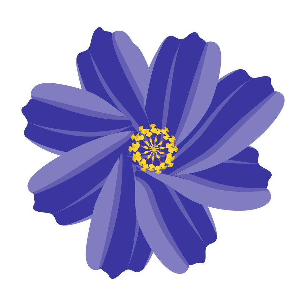 aster blomma koncept vektor