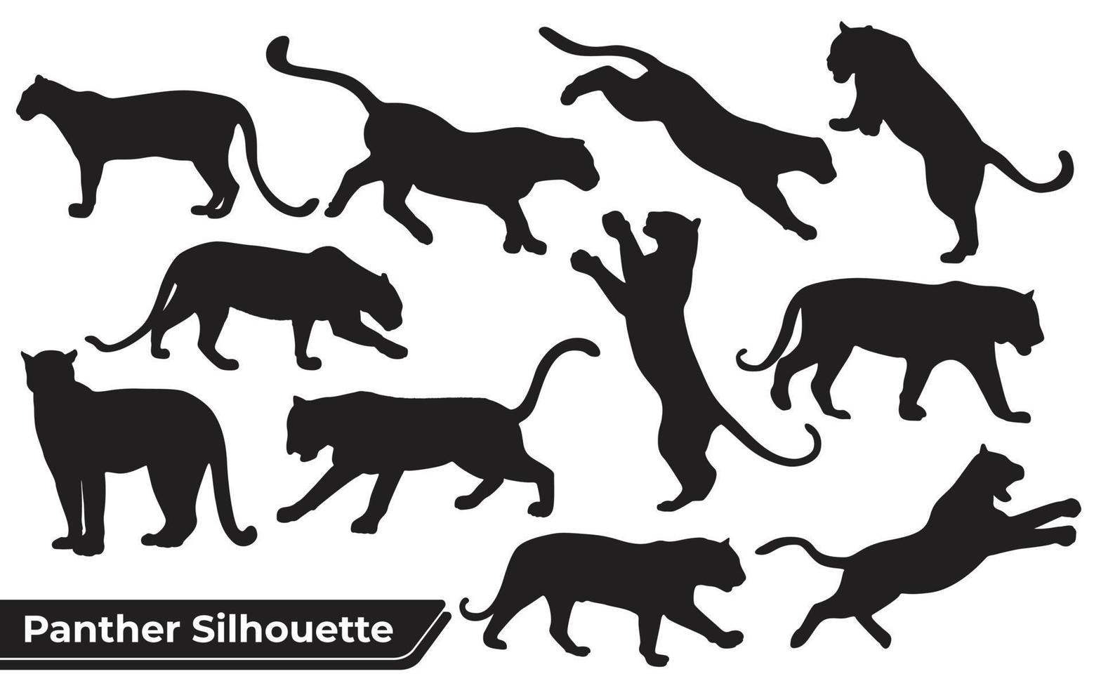 Sammlung von Tierpanthern in verschiedenen Positionen vektor