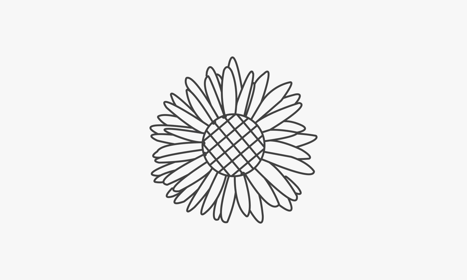 Liniensymbol Sonnenblume isoliert auf weißem Hintergrund. vektor