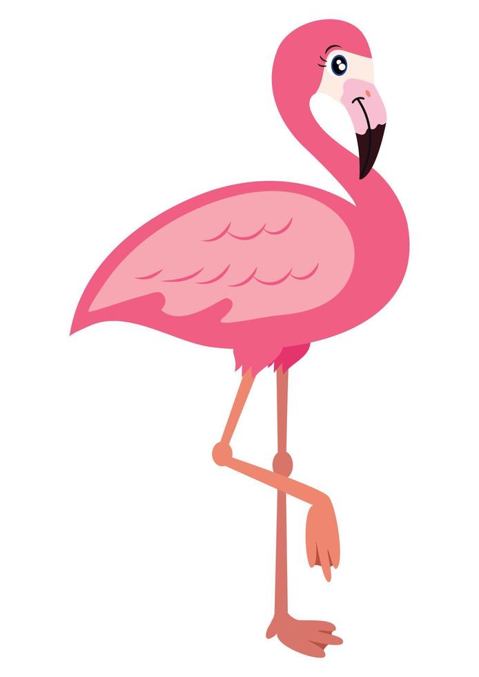 Rosa Flamingo-Vektor-Illustration isoliert auf weißem Hintergrund. Flamingo Clipart vektor