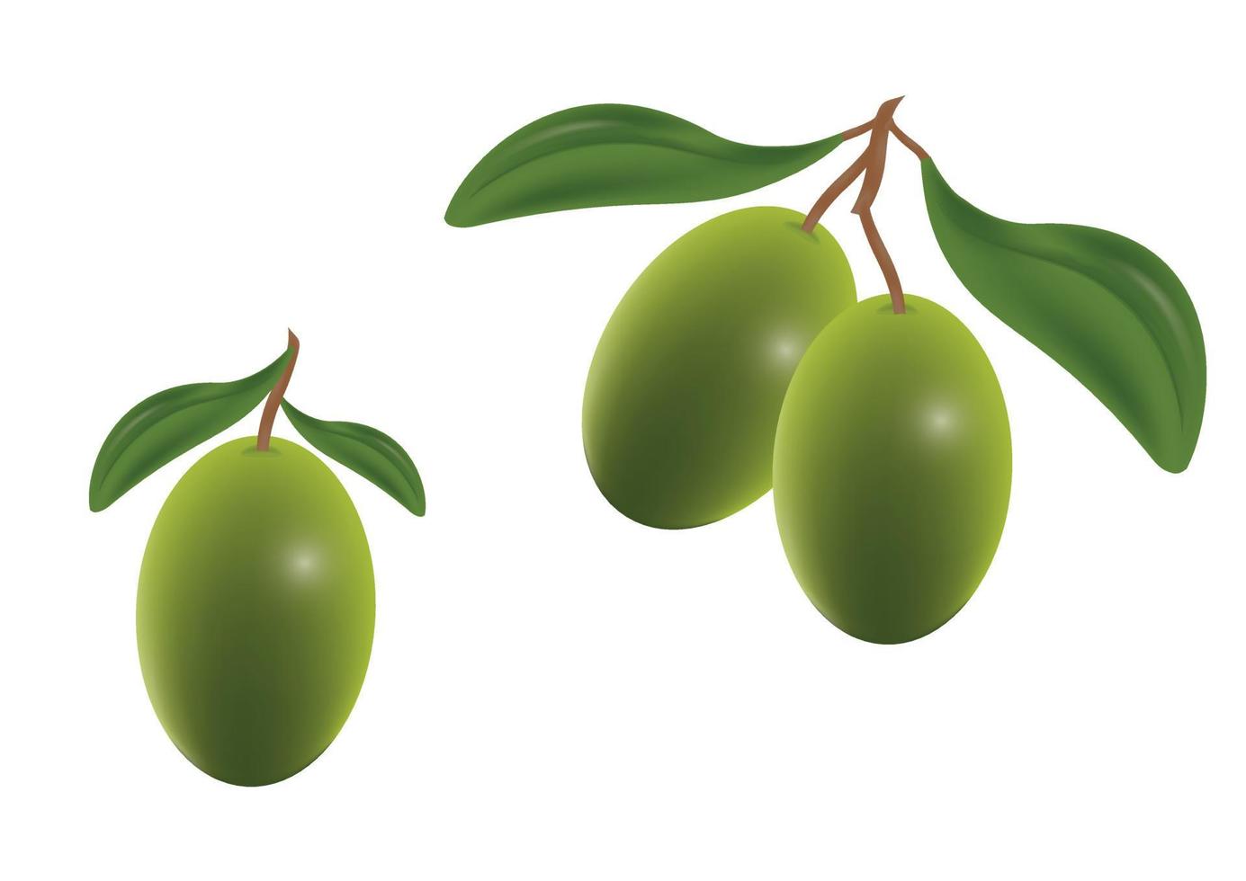 Clipart-Vektor-Olive isoliert auf weißem Hintergrund. Grüne Olive vektor