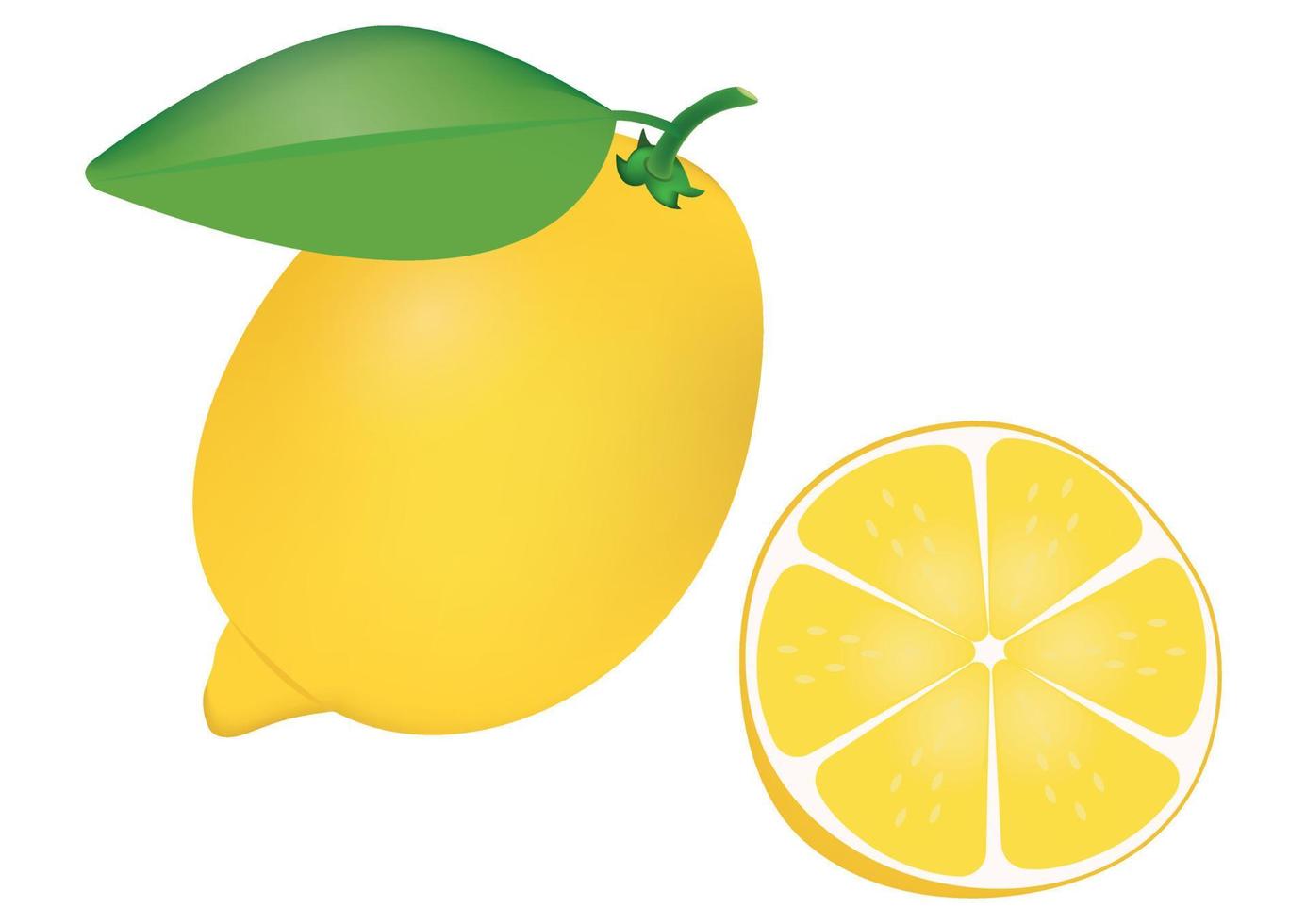 Clipart realistische Zitrone und halbe Zitrone vektor