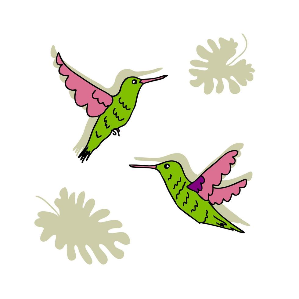 handritade flygande kolibrier med tropiska löv. perfekt för t-shirt, affisch, gratulationskort och tryck. doodle vektorillustration för inredning och design. vektor