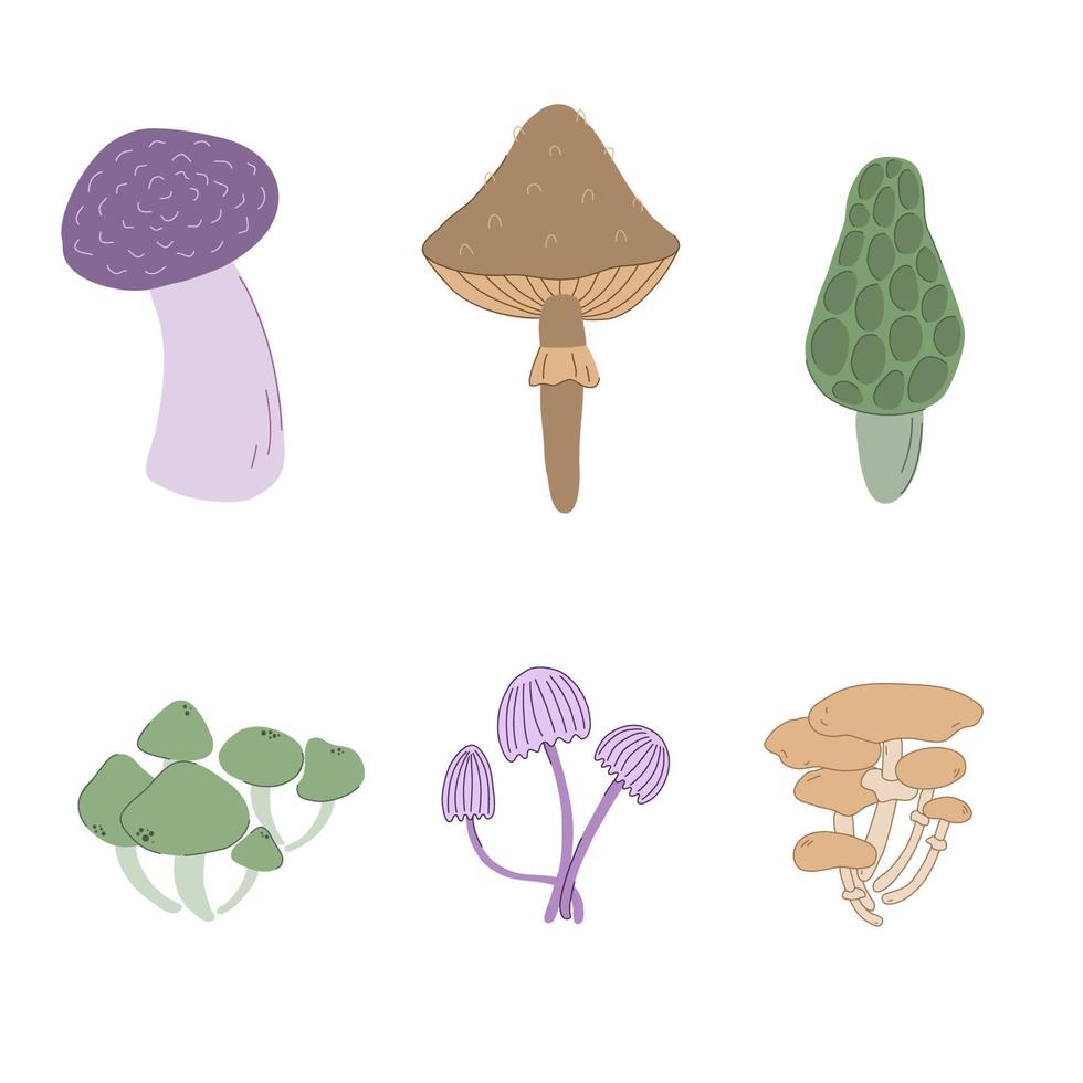 verschiedene Pilze handgezeichnete bunte Vektor-Illustration. Speisepilze und Fliegenpilz. Waldpilz. vektor