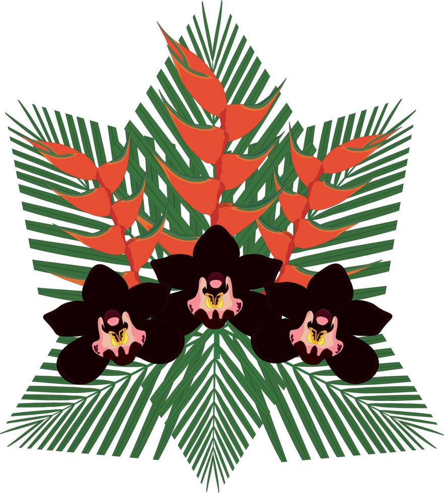 Schwarze Orchidee und rote Heliconia Krabbenkralle Pflanzenblumenstrauß mit Palmblättern Vektor-Illustration vektor