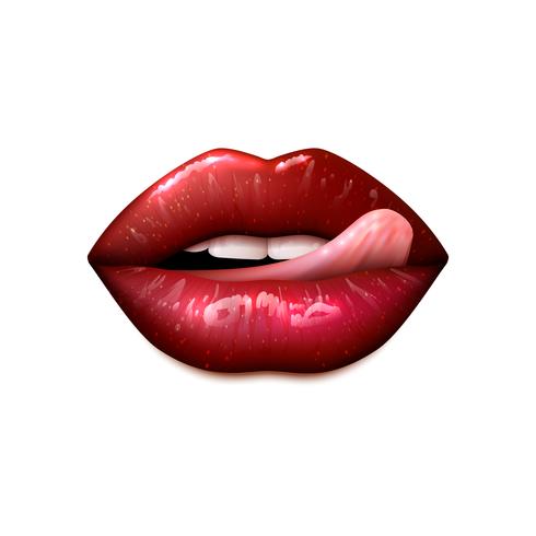 Weibliche Lippen bilden vektor