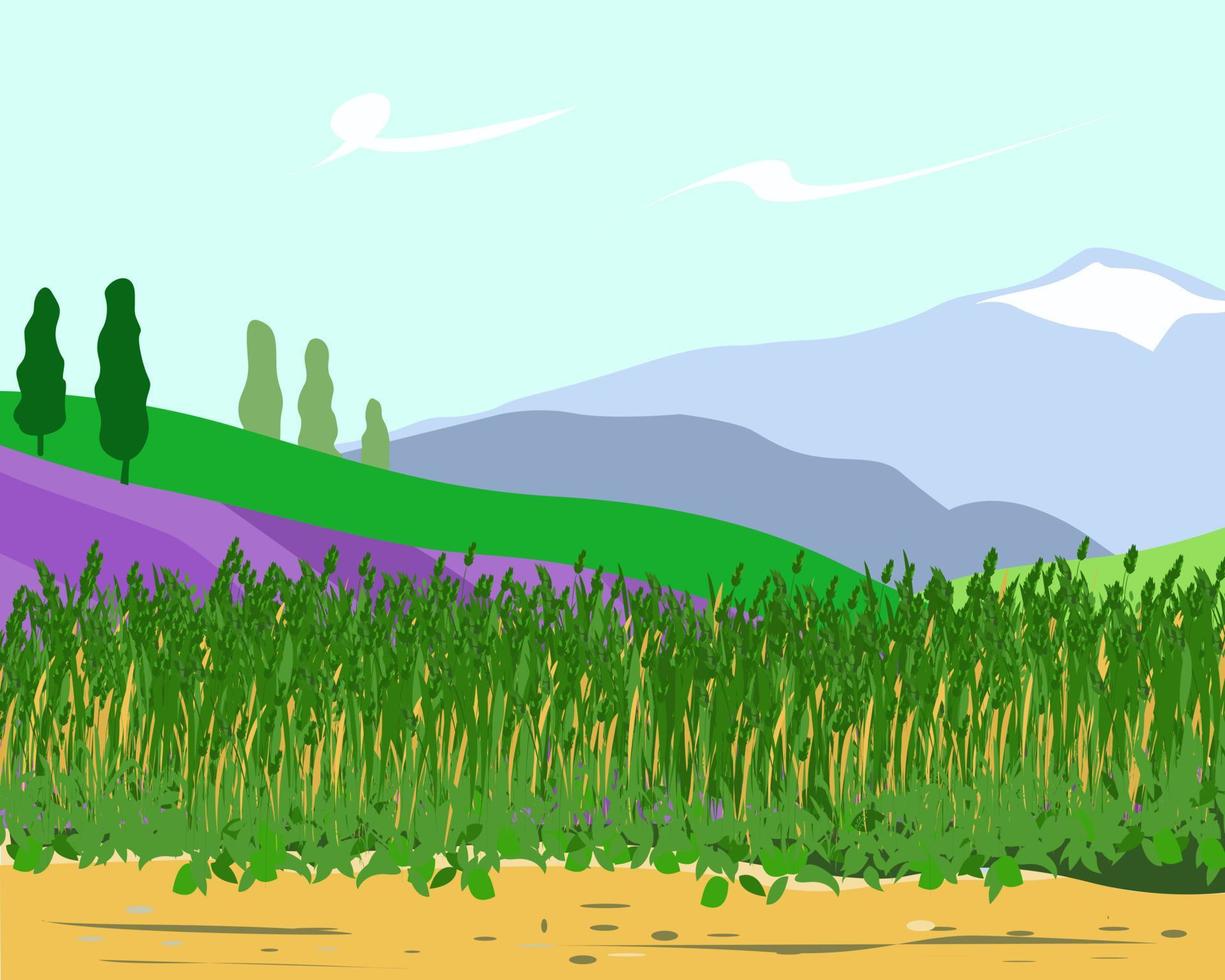 landskap med fältgräs och berg i bakgrunden vektor