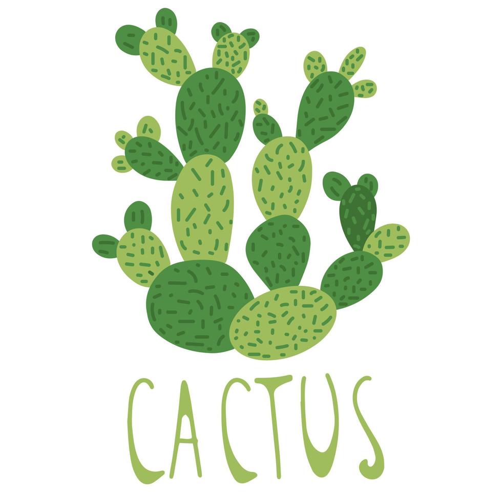 handgezeichneter Kaktus, Doodle-Stil, isoliert auf weißem Hintergrund. vektor