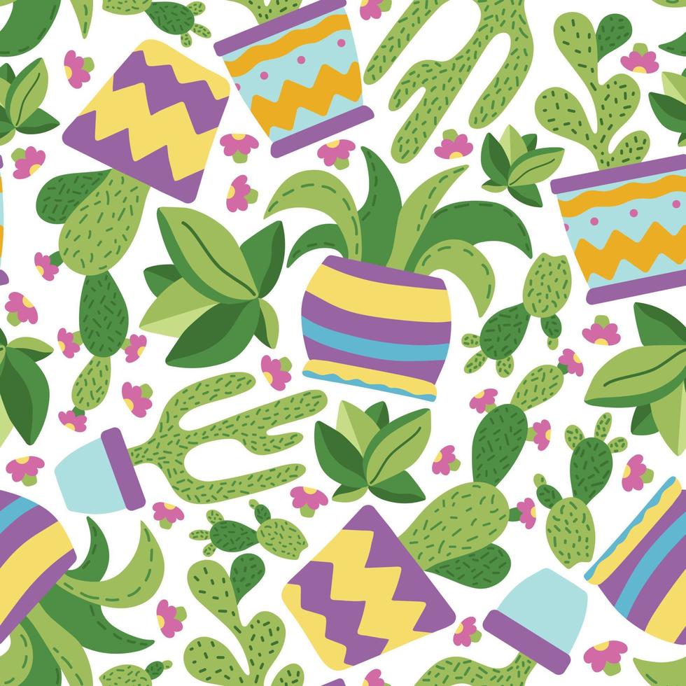 seamless mönster med suckulenter och kaktus i färgglada krukor, mönster i doodle handritad stil. vektor