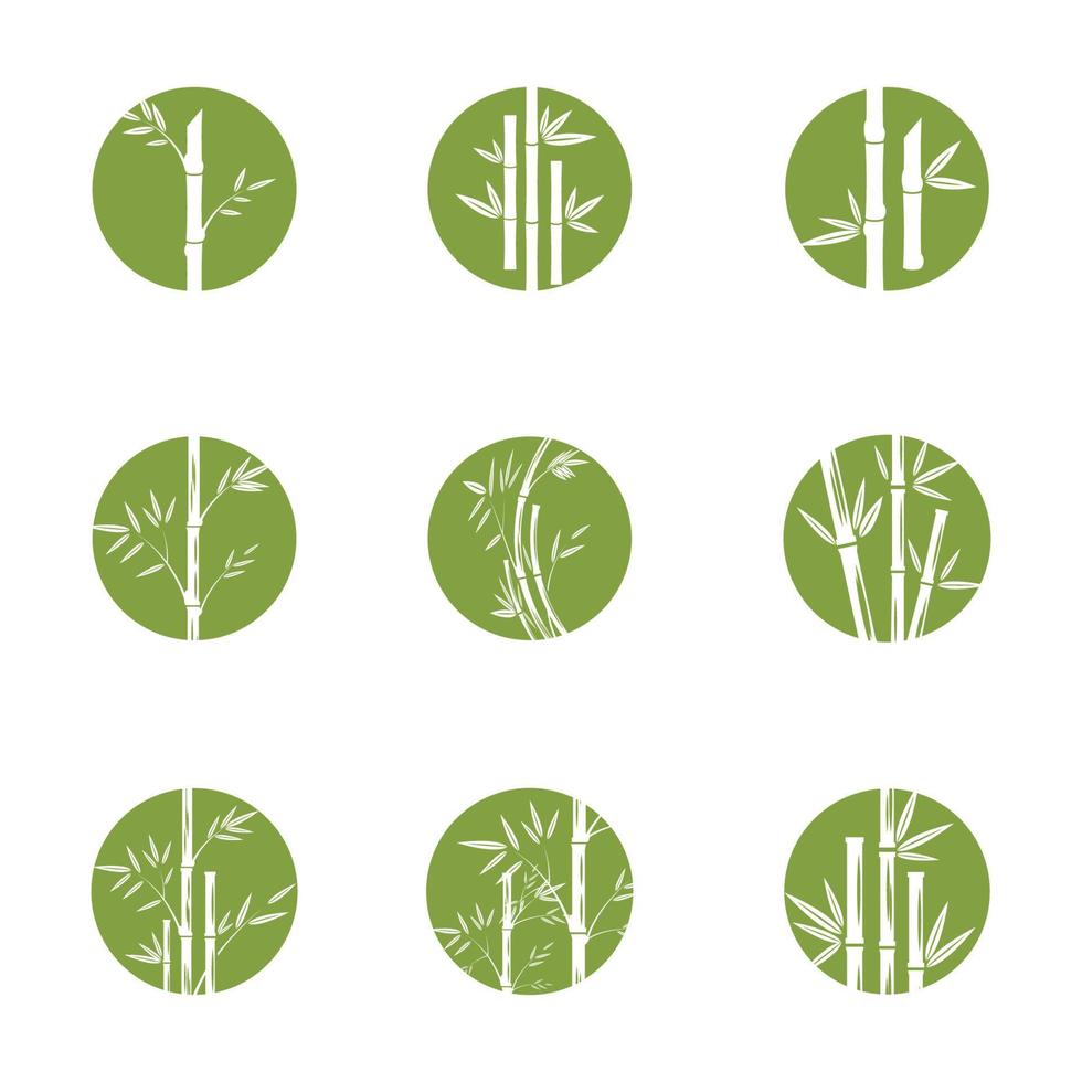 bambu logotyp mall vektor ikon illustration design