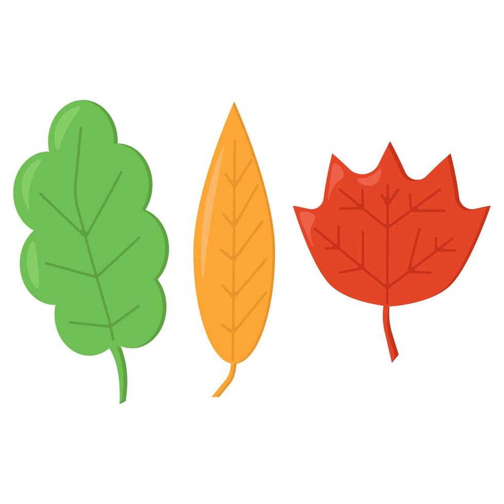 Set aus drei einfachen Blättern im Cartoon-Stil, Herbstblätter in verschiedenen Farben und Formen vektor