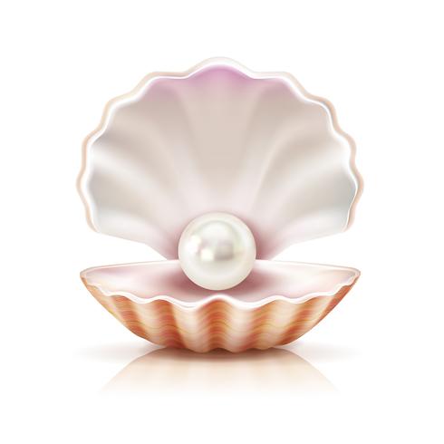 Shell Pearl Realistic isoliertes Bild vektor