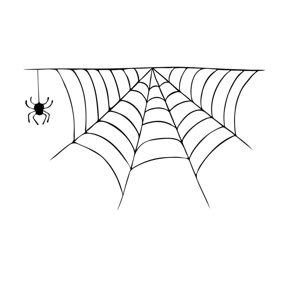 vektor illustration med spindelnät och spindel, insekt. ritad för hand, svart bläck. höst, halloween. mall för utskrift på en flyer, affisch, festinbjudan.