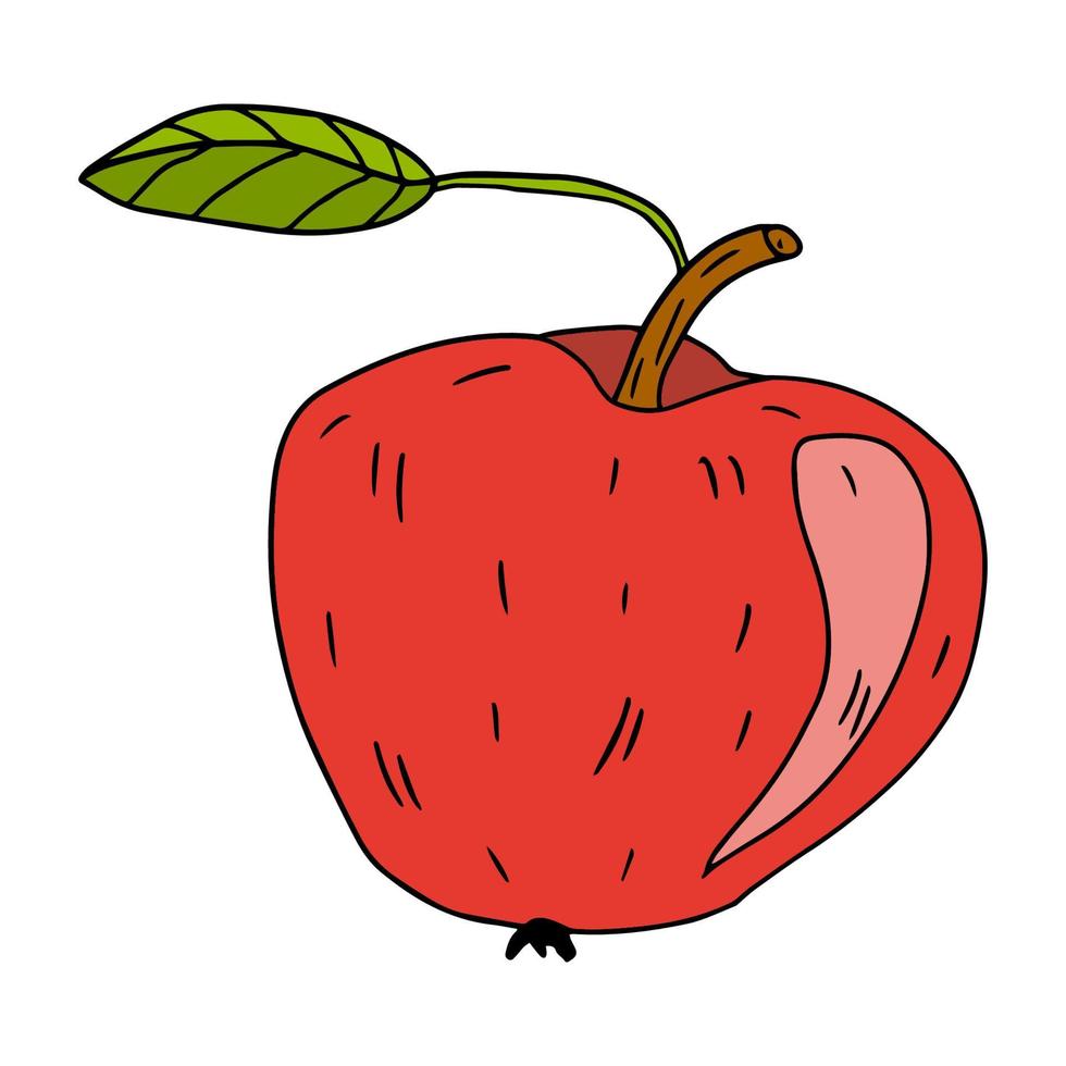 niedlicher Cartoon handgezeichneter Doodle-Apfel mit Blatt. vektor