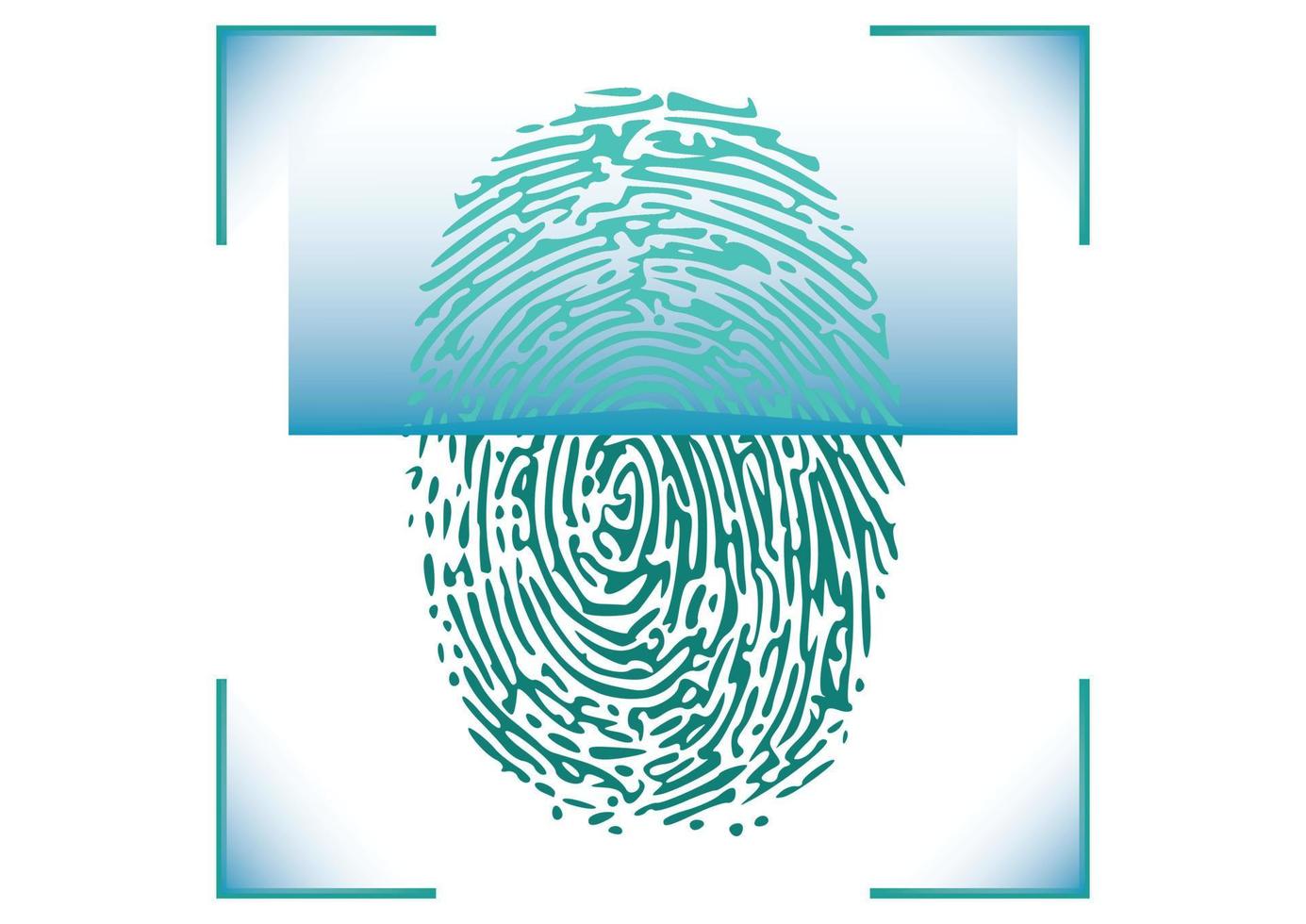 printvector Illustration von Fingerabdrücken auf weißem Hintergrund. blaues Fingerabdruck-Identifikationssymbol vektor