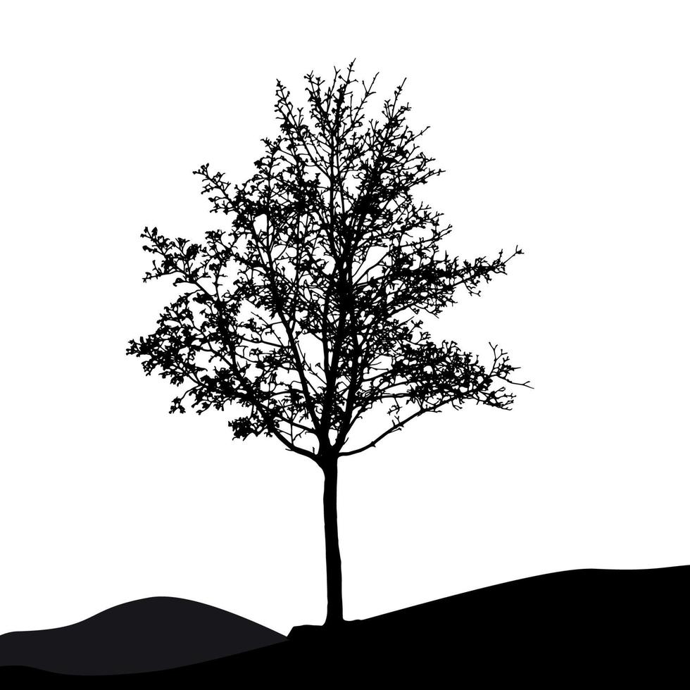 träd siluett isolerad på vit backgorund. vektor illustration