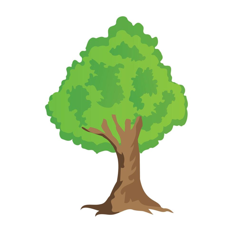 bluewood träd koncept vektor