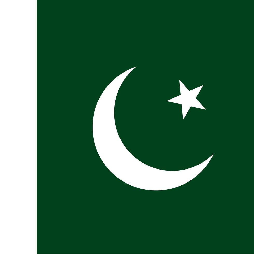 Pakistans fyrkantiga nationella flagga vektor