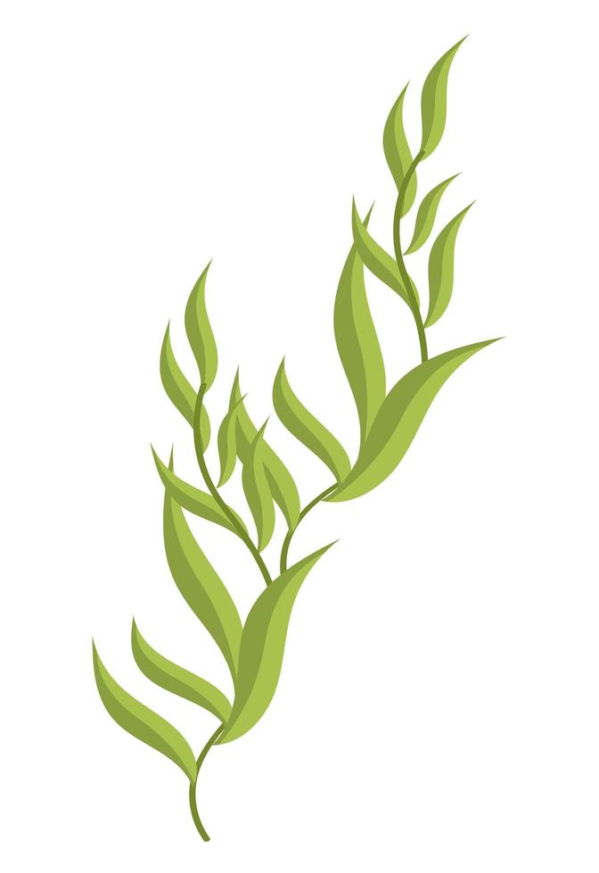 Sealife Blätter Pflanze vektor