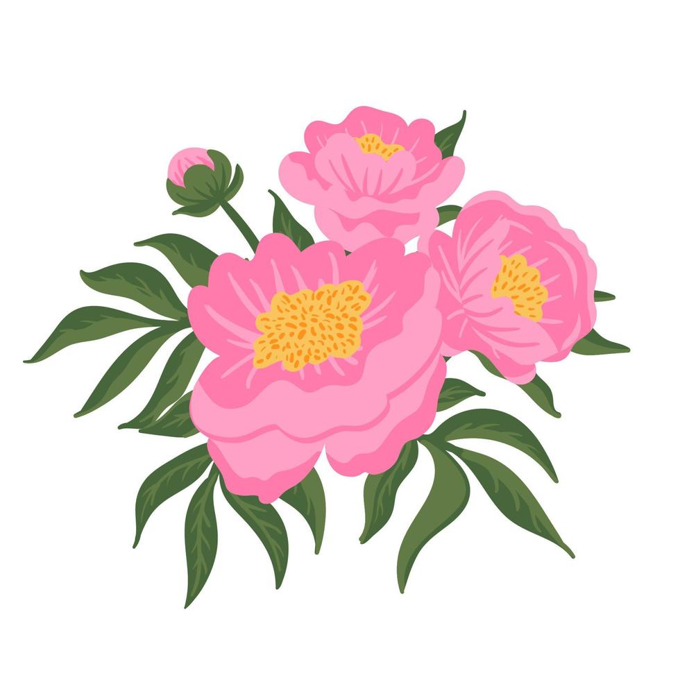 Blumenzusammensetzung. rosa Pfingstrosen mit grünen Blättern. Vektor romantische Gartenillustration. botanische Kollektion für Hochzeitseinladung, Muster, Tapeten, Stoff, Verpackung