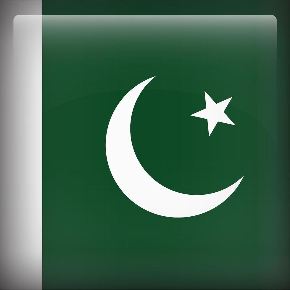 pakistan platz nationalflagge vektor