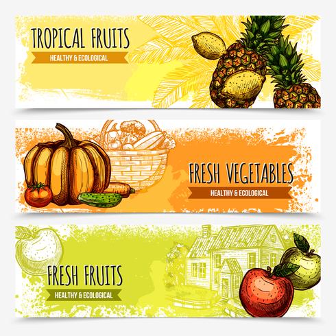 Gemüse und Früchte horizontale Banner vektor